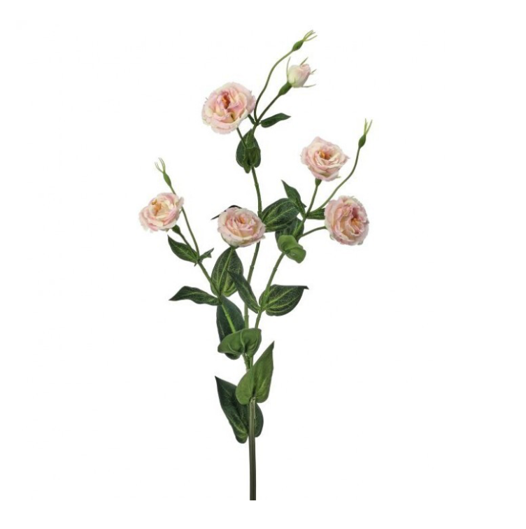 36" Multi Flowered Lisianthus Spray (Blush)