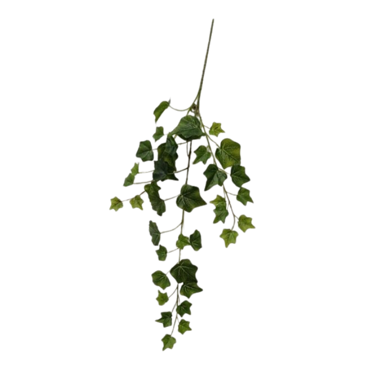 25" English Garden Ivy Spray