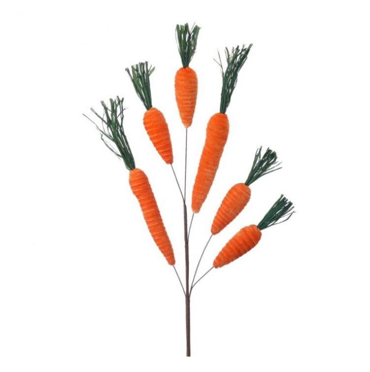 31" Velvet Carrot Spray X6