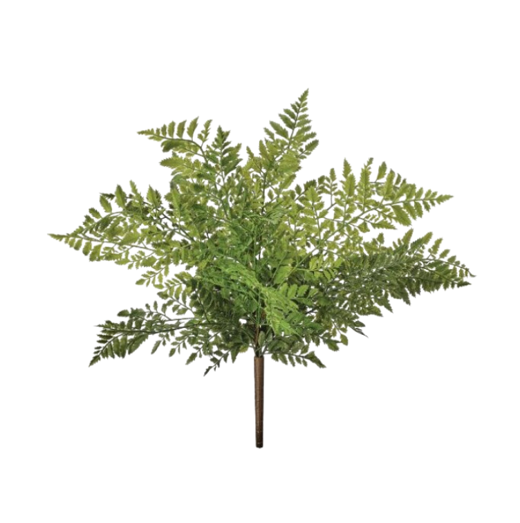 19" Uv Prf Nat Touch Lady Fern Bush