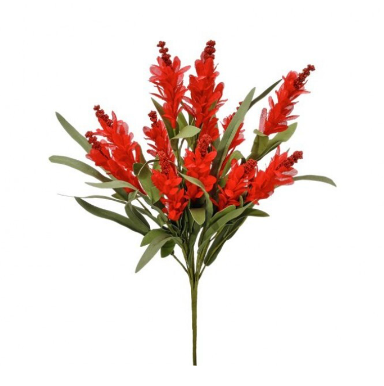 20" Budding Firecracker Salvia Bush (Red)