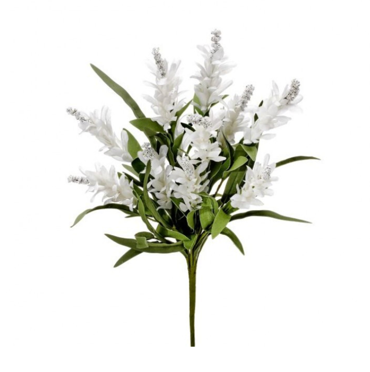 20" Budding Firecracker Salvia Bush (White)