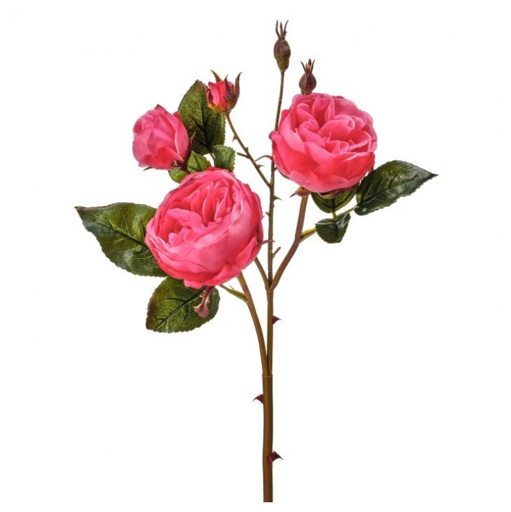 23.5" Just Cut Cabbage Rose X4+2Bud (Hot Pink)