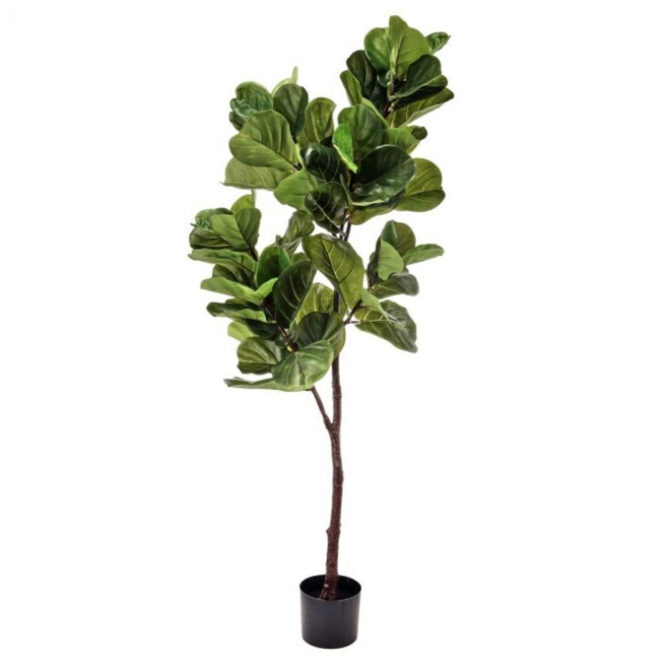 65" Fiddle Leaf Tree