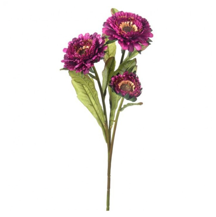 17" Aster Spray