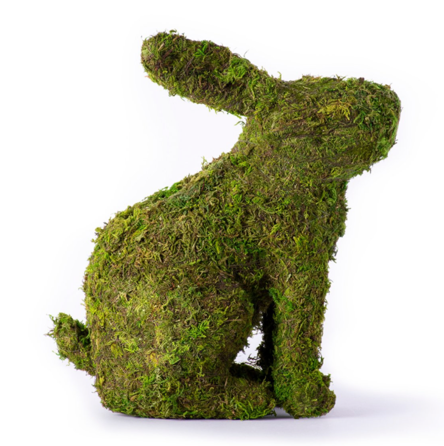 Plantable Moss Deco Bunny