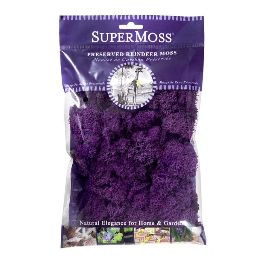 Reindeer Moss (Purple)