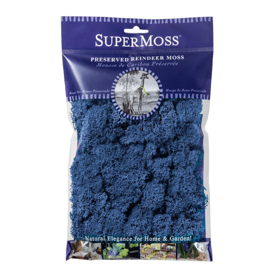 Reindeer Moss (Royal Blue)