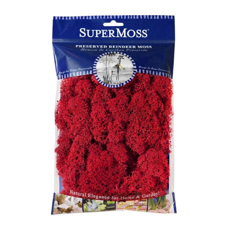 Reindeer Moss (Red)