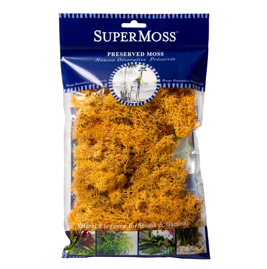Reindeer Moss (Mango)