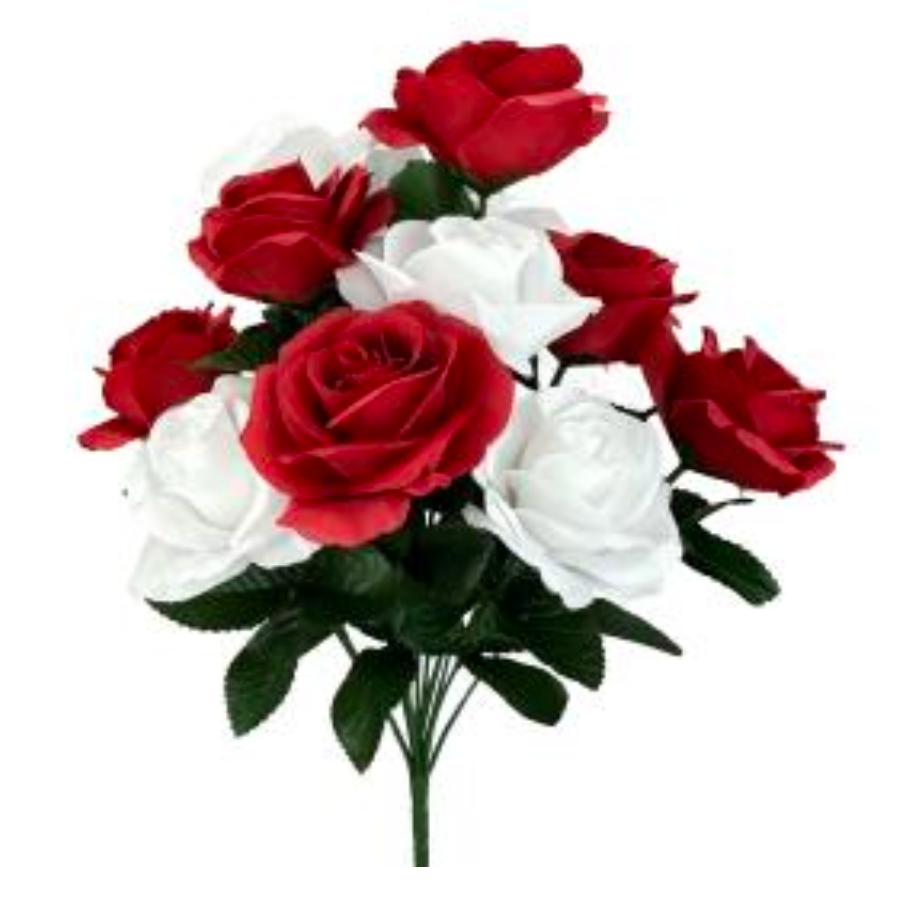 17" Open Rose Bush x 12 (Red/White)