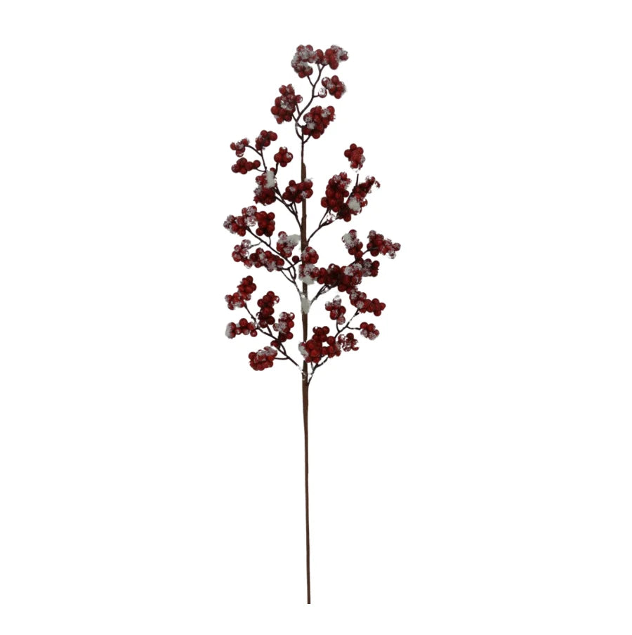 Poinsettia Santa Boot Kit