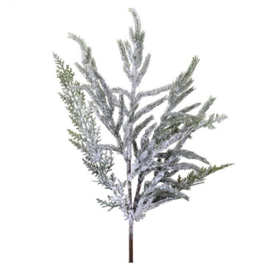 24" Real Touch Norfolk Pine Spray W/Snow