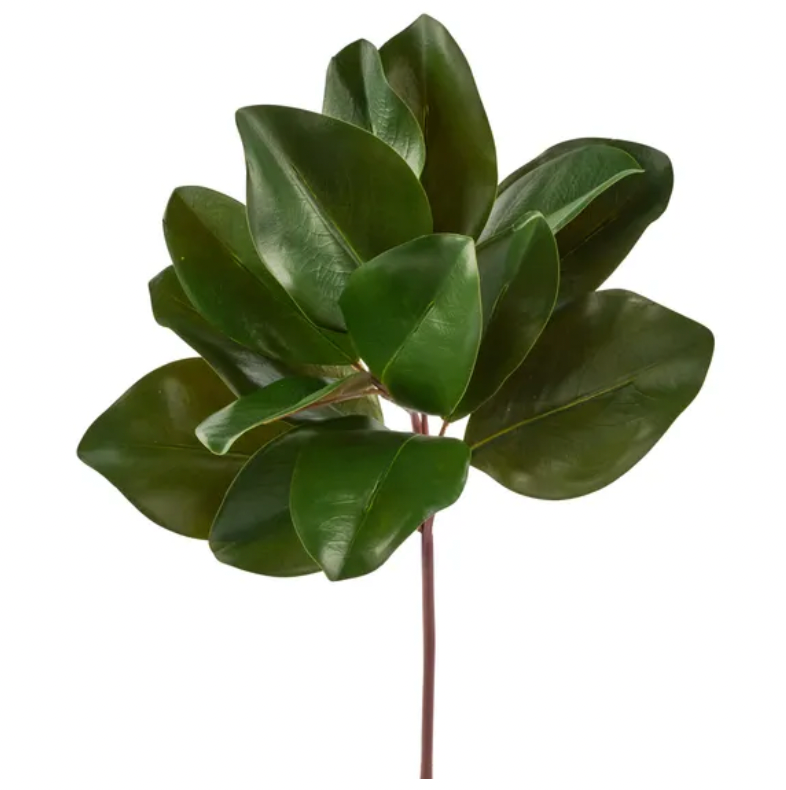 16"L Magnolia Leaf Pick