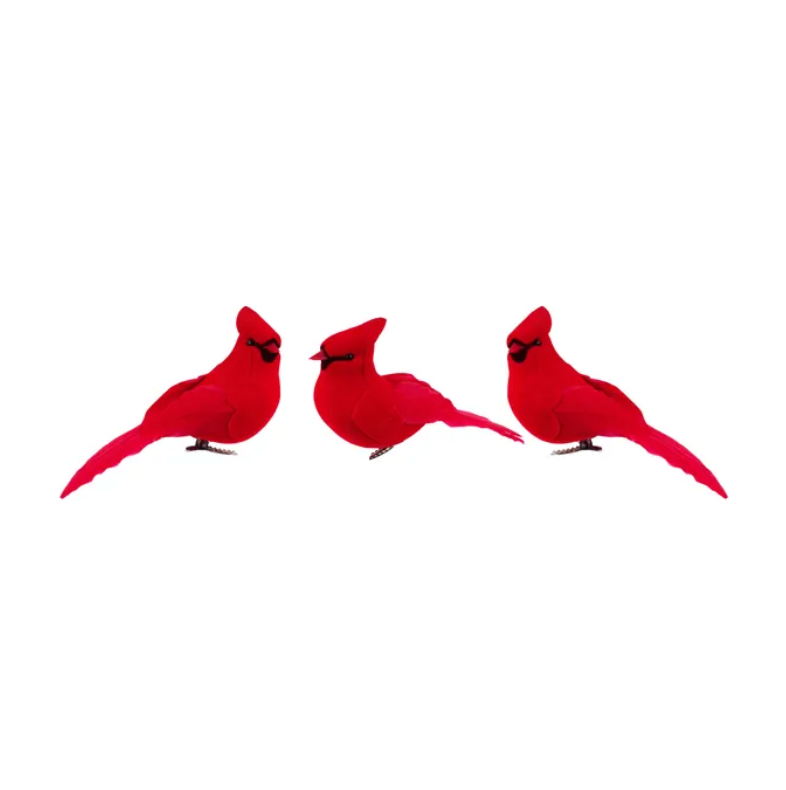 Assorted 4.75"L Feather Cardinal W/Clip (Sold Individually)