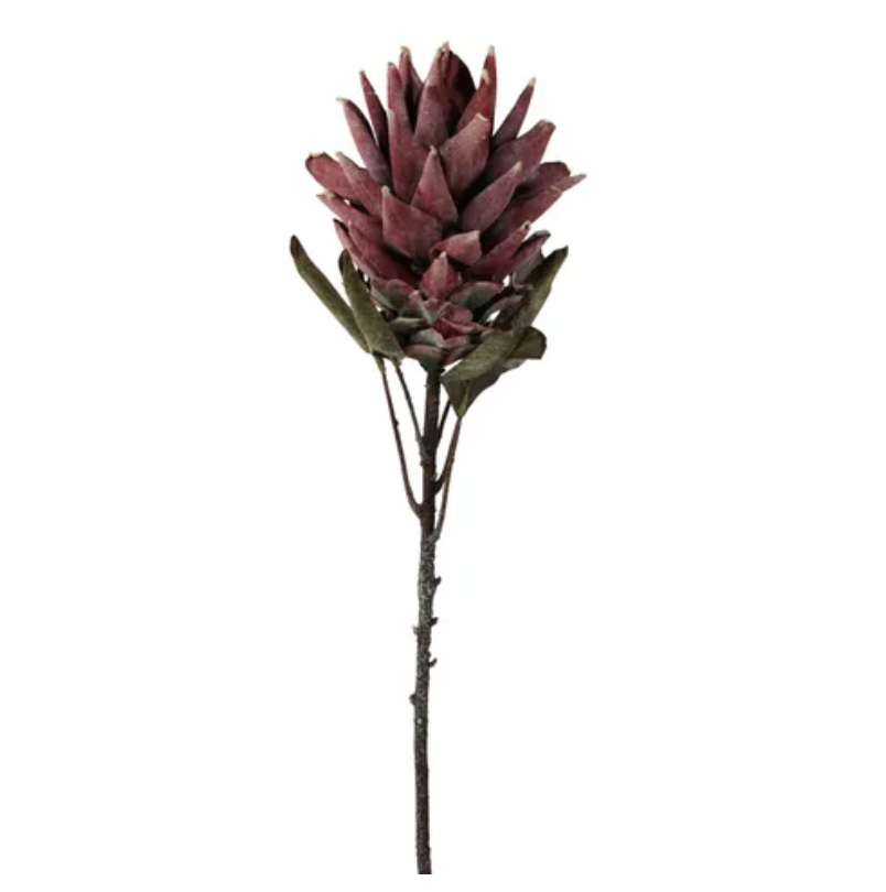 30"L Dried Look Protea Spray