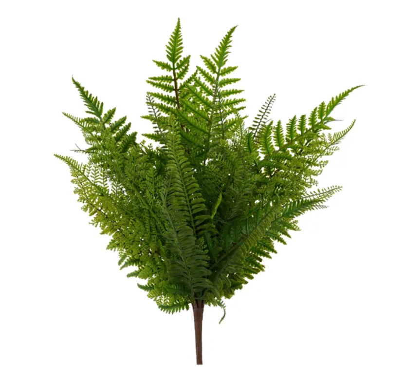 22.5"L Multi Fern Bush x 30