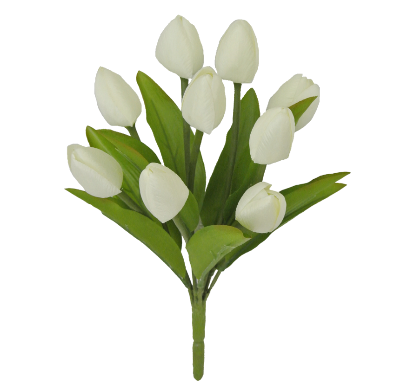 13" Tulip Bush X 9 (Cream)