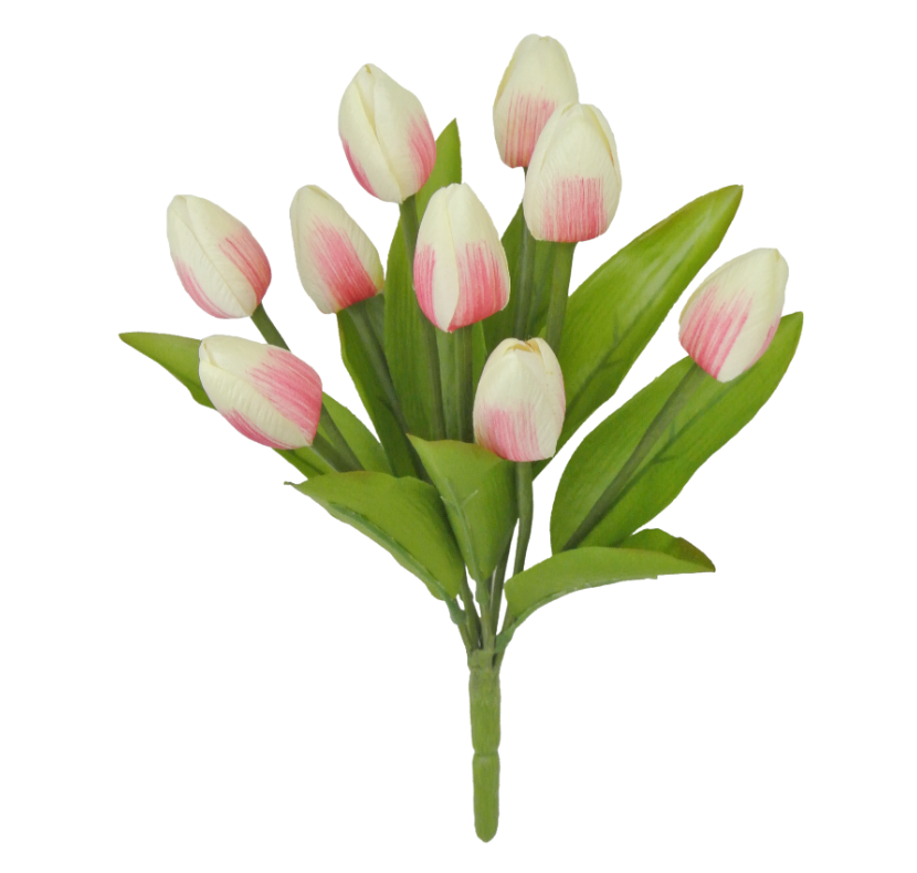 13" Tulip Bush X 9 (Cream/Pink)
