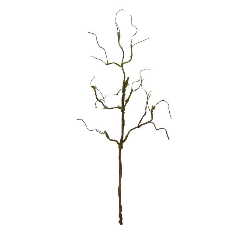 31" Twig Branch W/ Moss