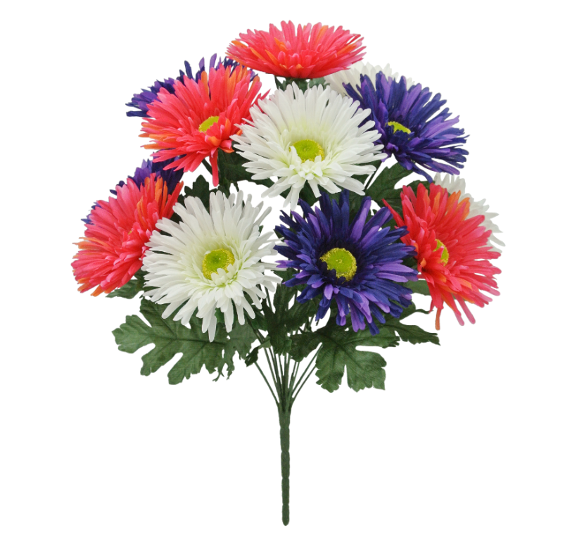 17.5" Gerbera Bush X 12 (Cream/Purple/Beauty)