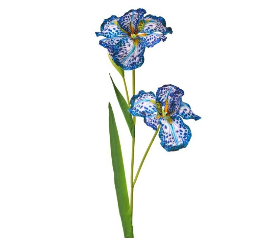 35" Spotted Iris X2 + Bud (Blue/White)