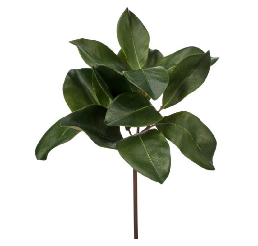 16" Natural Touch Magnolia Leaf Spray