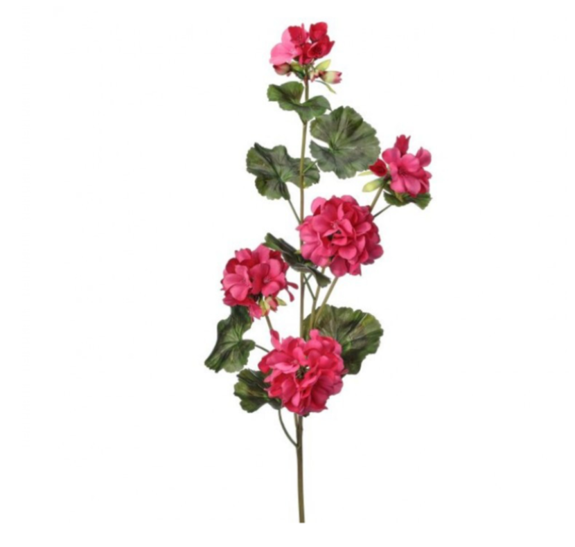 36" Uv Summer Trailing Geranium Spray X5 (Hot Pink)