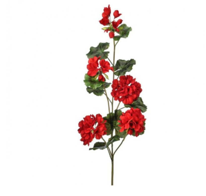 36" Uv Summer Trailing Geranium Spray X5 (Red)