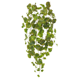 Magnolia Container Kit