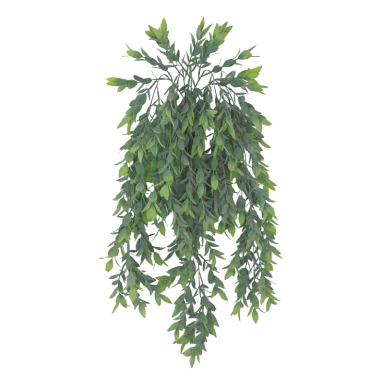 32" Ruscus Hanging Vine