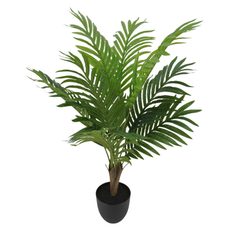 24" Palms In Pot
