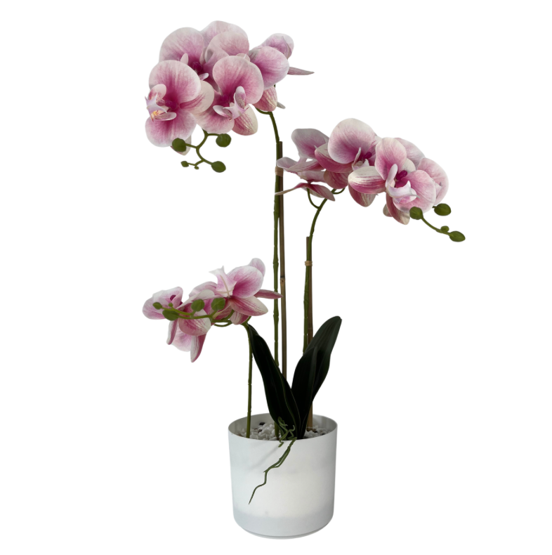 32" Orchid In Pot (Pink)