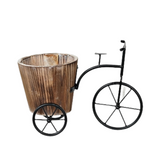 Mini Bicycle Cosmo Arrangement