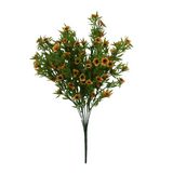 Orange Monarch Butterfly Kit