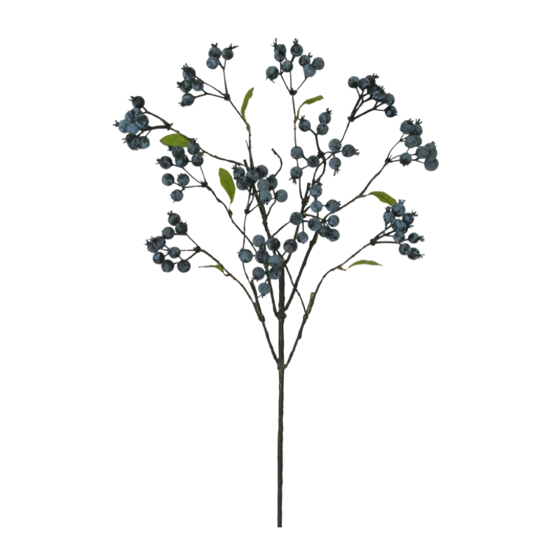 24" Blueberry Spray