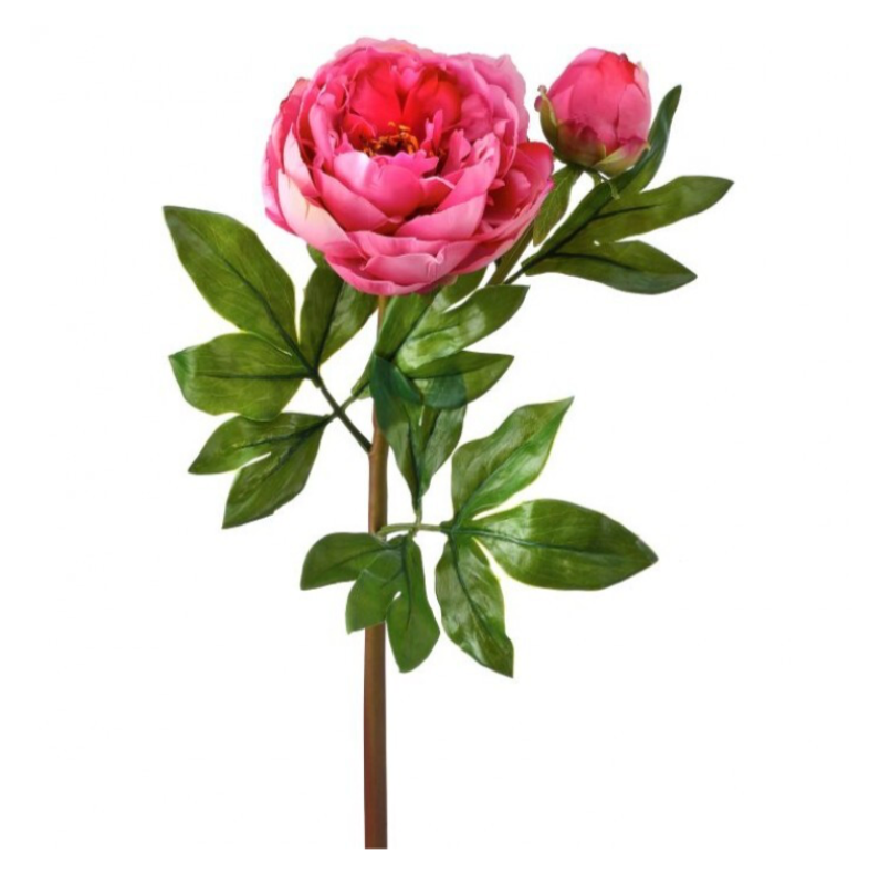 25" Just Cut Garden Peony & Bud (Rose Pink)