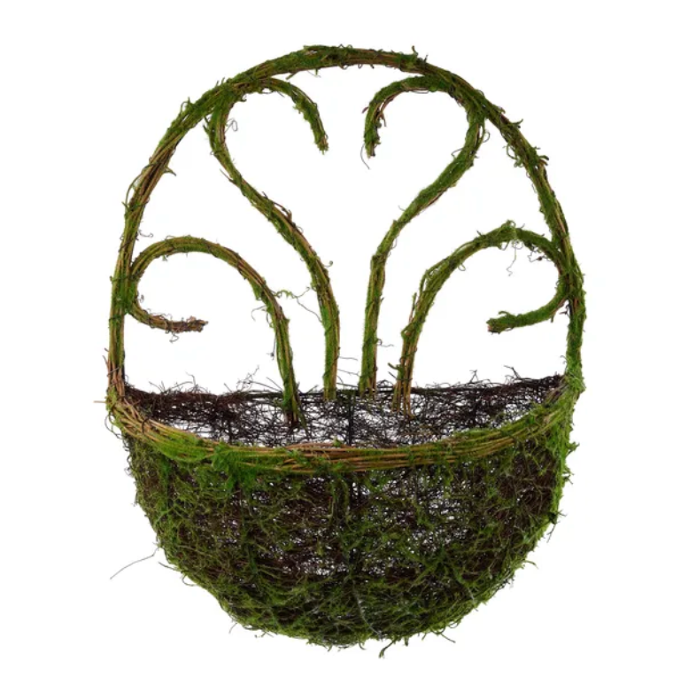 16.5"H x 13"L Round Moss/Vine Basket