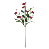 Ranunculus Wall Vase Kit