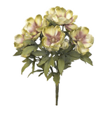 Magnolia Container Kit