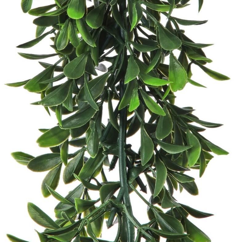 6' American Boxwood Garland UV Treated