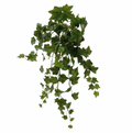 Greenery