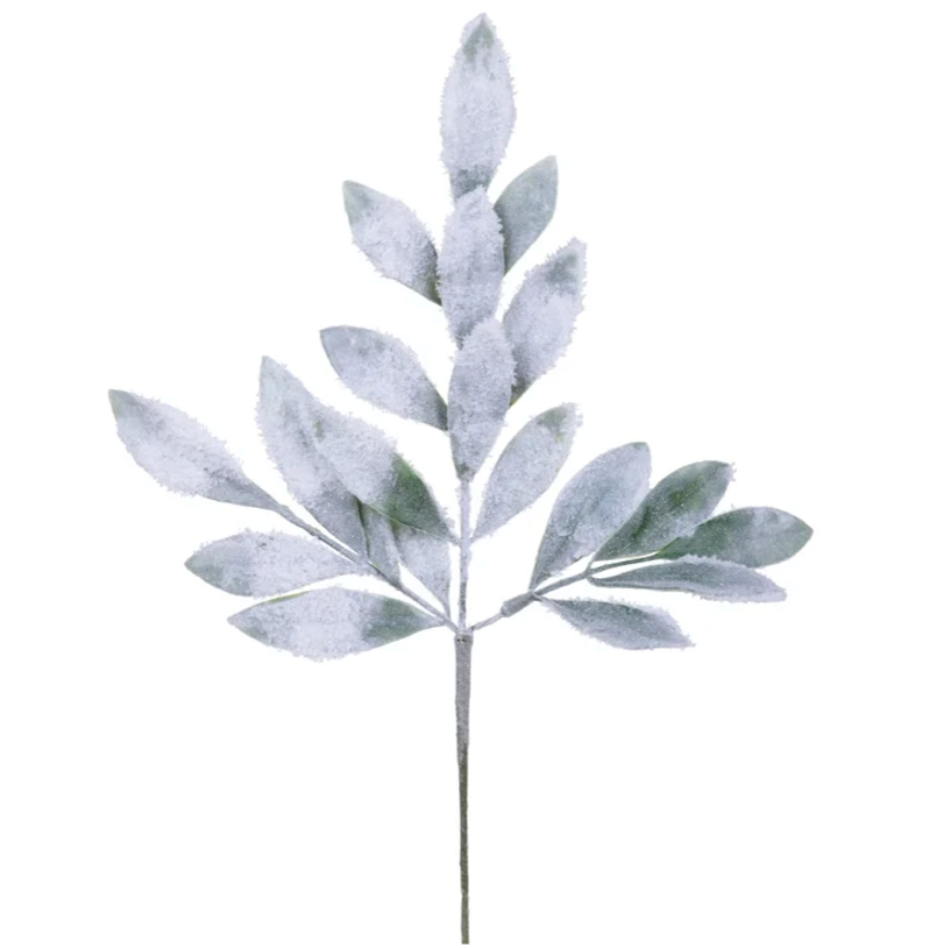 19" Frosted Bay Leaf Spray