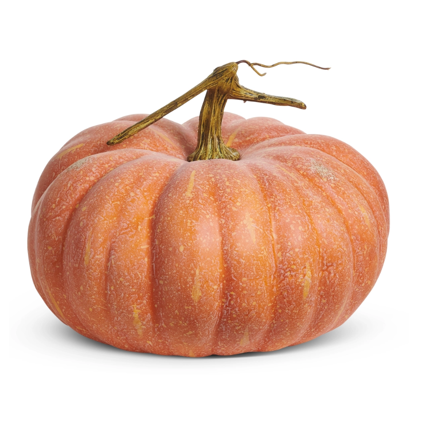 9" Harvest Pumpkin (Orange)