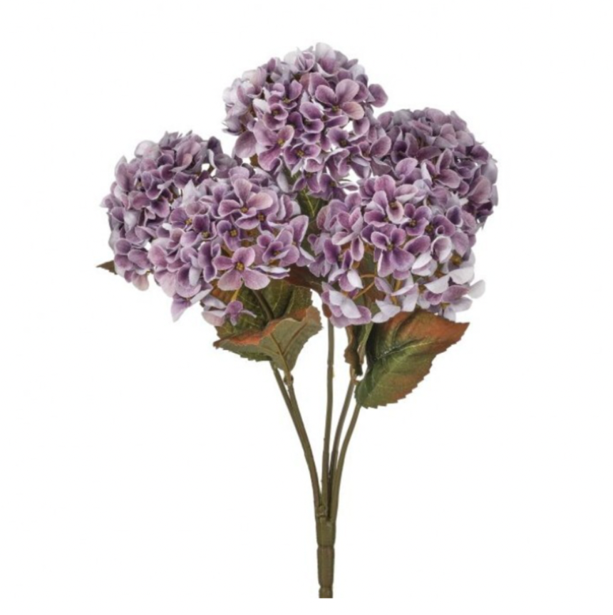 17" Mini Autumn Hydrangea Bush (Plum)
