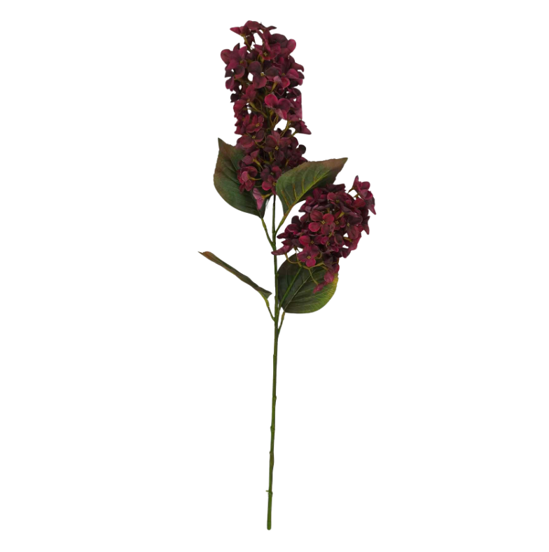 30" Lilac Spray X2 (Burgundy)