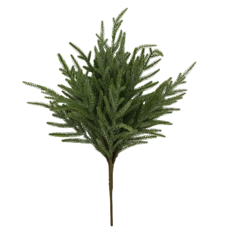 22" Frosted Norfolk Pine