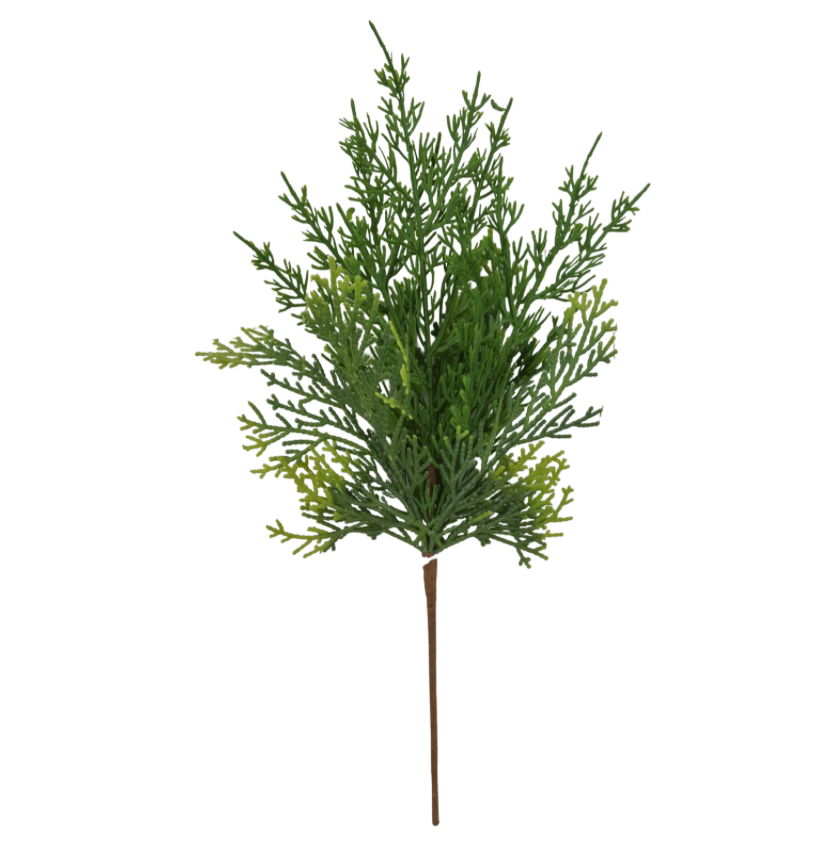 15" Cypress Pick