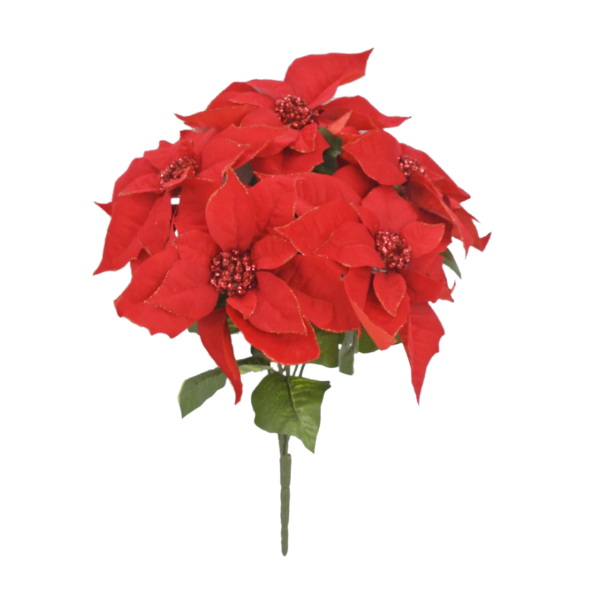 20" Glittered Edge Poinsettia Bush (Red)
