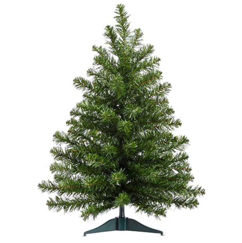 2'X16" Balsam Pine Tree X75